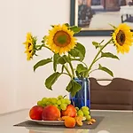 Kaleta Garden Appartement